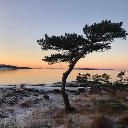 Exclusive Near Sea & Preikestolen Feriehus Idse